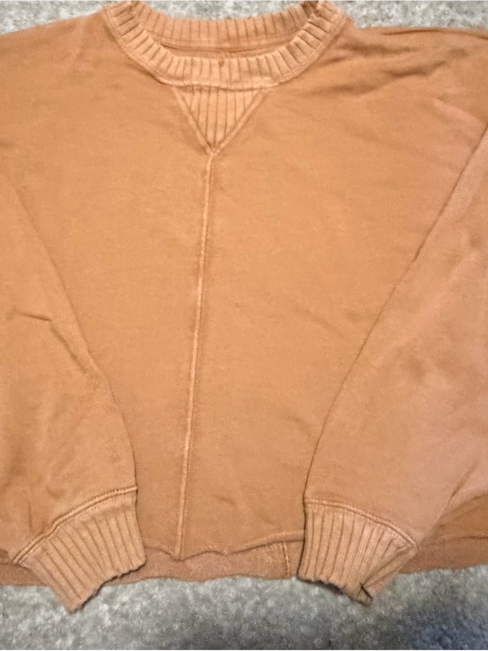 aerie Women's Crewneck Sweatshirt in Tan